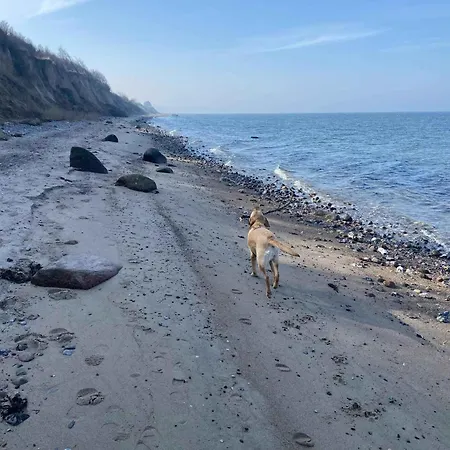 Close To The Beach, * Skovs-Hojrup