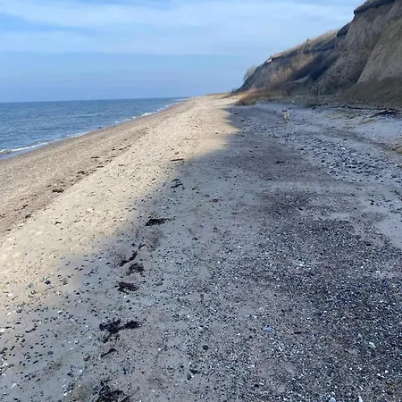 Close To The Beach,
