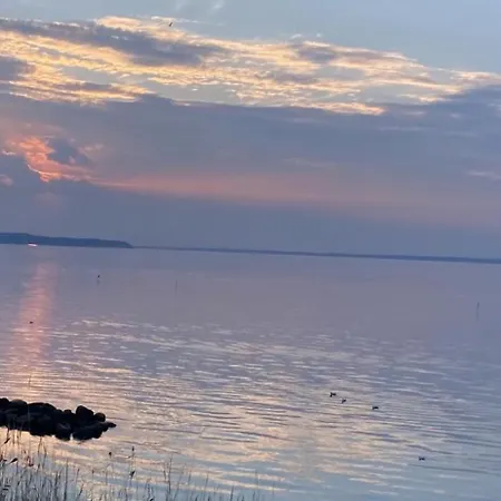 House Close To The *